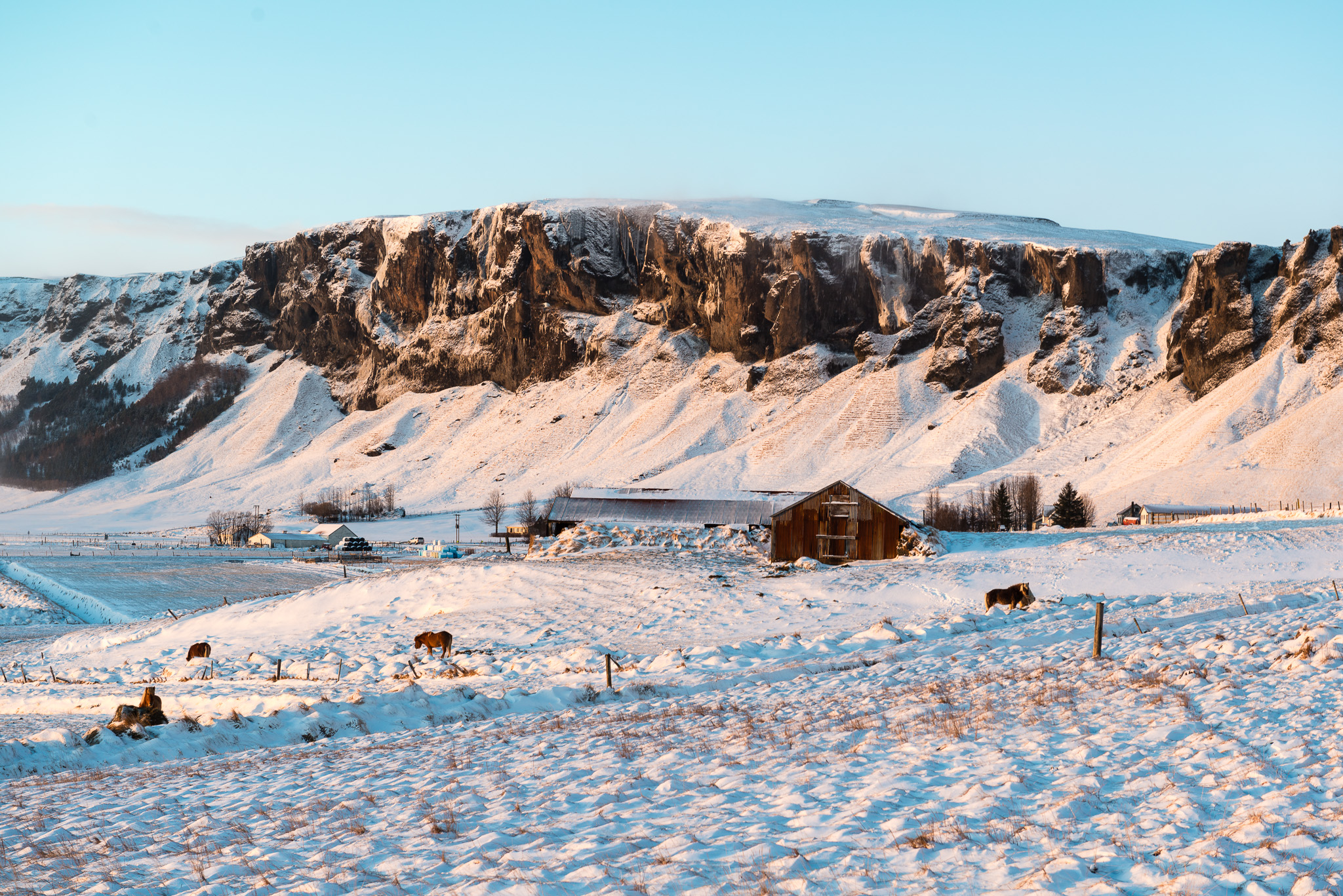 Island Reisebericht Landschaft traveljunkies