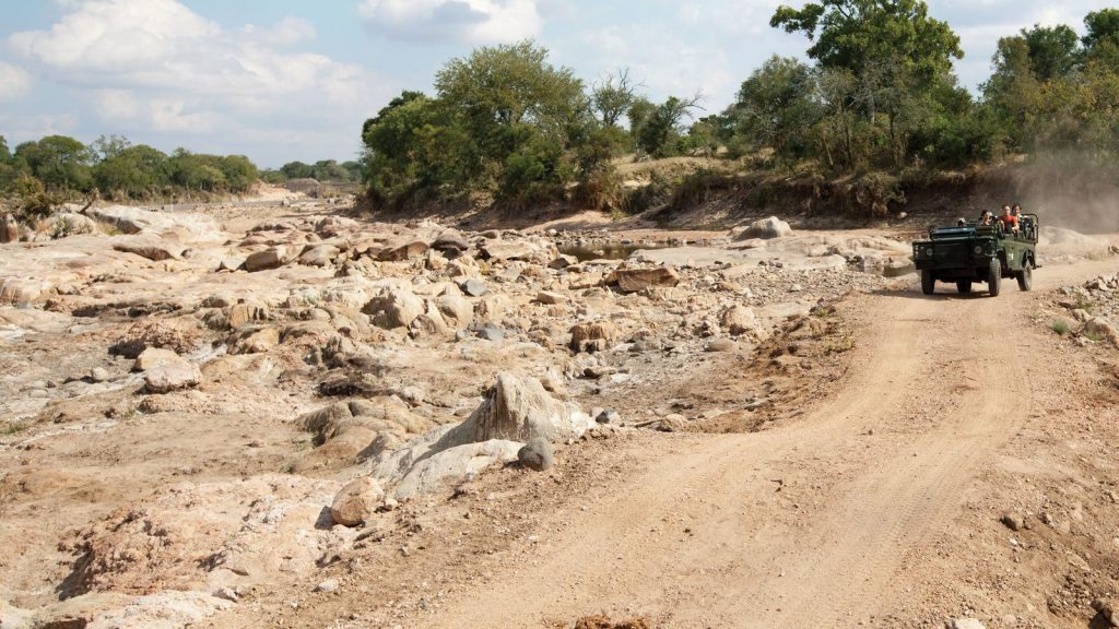 Karongwe Südafrika National Geographic Krüger Nationalpark Safari Gruppenreise Erlebnisreise Afrika Game Drive Abenteuerreise traveljunkies