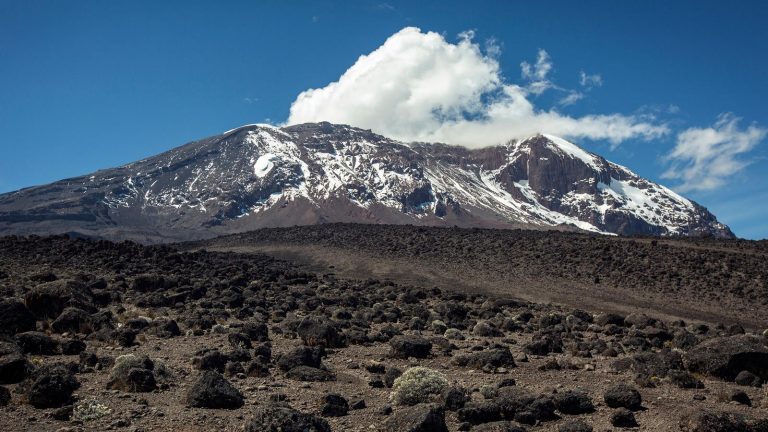 Kilimandscharo Besteigung Machame Route in der Gruppe traveljunkies Tansania