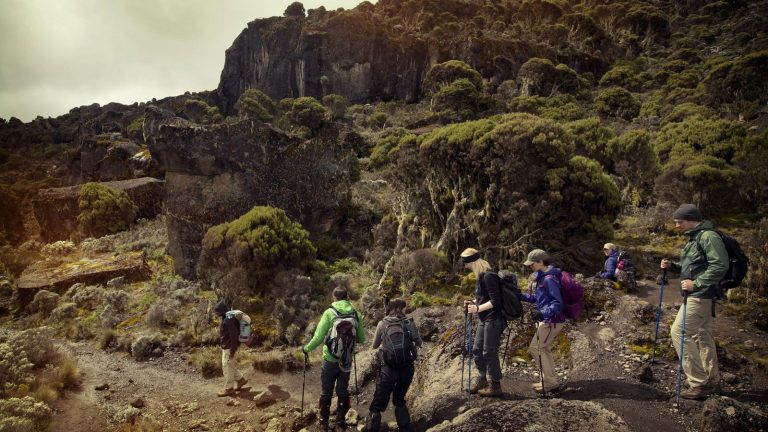 Kilimandscharo Trekking Machame Route Gruppenreise Tansania Afrika traveljunkies