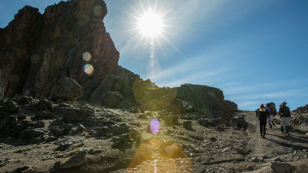 Kilimandscharo Trekking Wanderung traveljunkies Kilimanjaro Serengeti Moshi Arusha Afrika Tansania Ngorongoro Manyara Gruppenreise Abenteuerreise Erlebnisreise Adventure Safari Rundreise