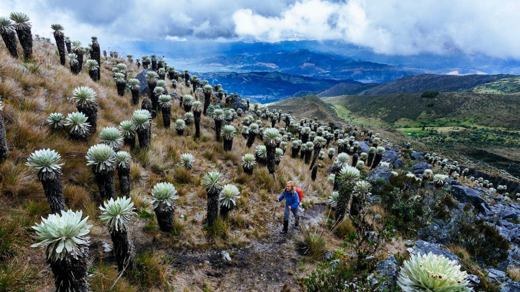 Kolumbien Aktivurlaub in der Gruppe traveljunkies