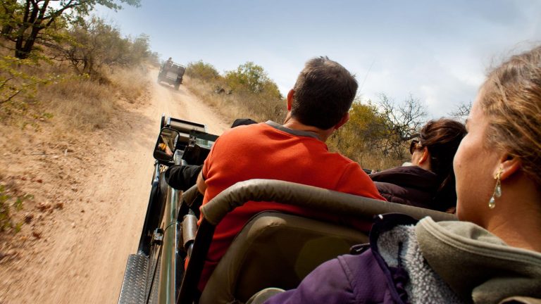 Krüger Nationalpark Südafrika National Geographic Safari Gruppenreise Erlebnisreise Afrika Game Drive Victoriafälle Victoria Falls Simbabwe Abenteuerreise traveljunkies