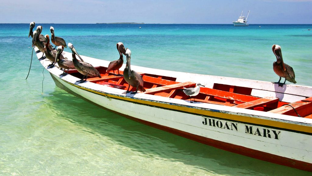 Schwimmen, tauchen, schnorcheln auf Los rpques. Sonne, Strand und Meer, Südamerika Venezuela traveljunkies