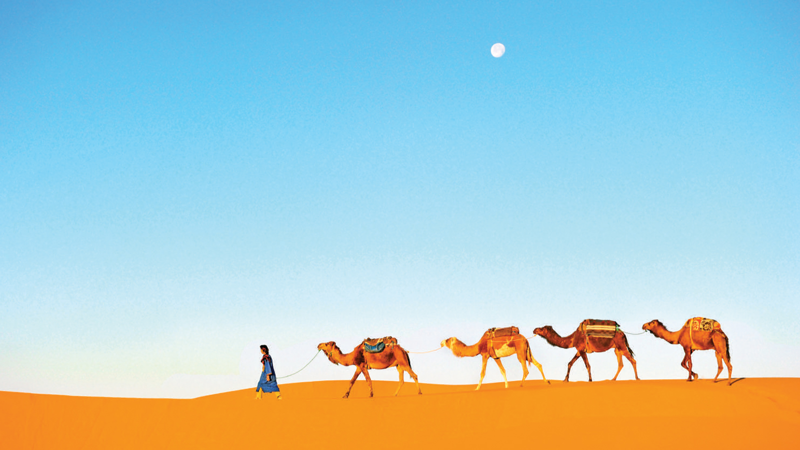 Marokko: Sahara Wüsten Abenteuer
