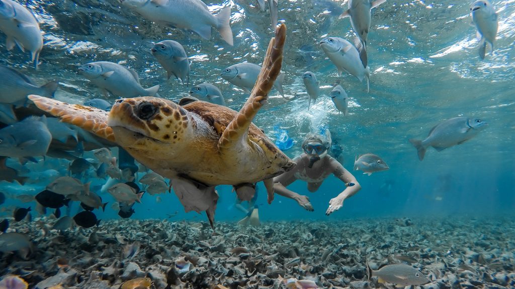 Maya Erlebnisurlaub Von Mexiko nach Guatemala Gruppenreise für junge Leute traveljunkies