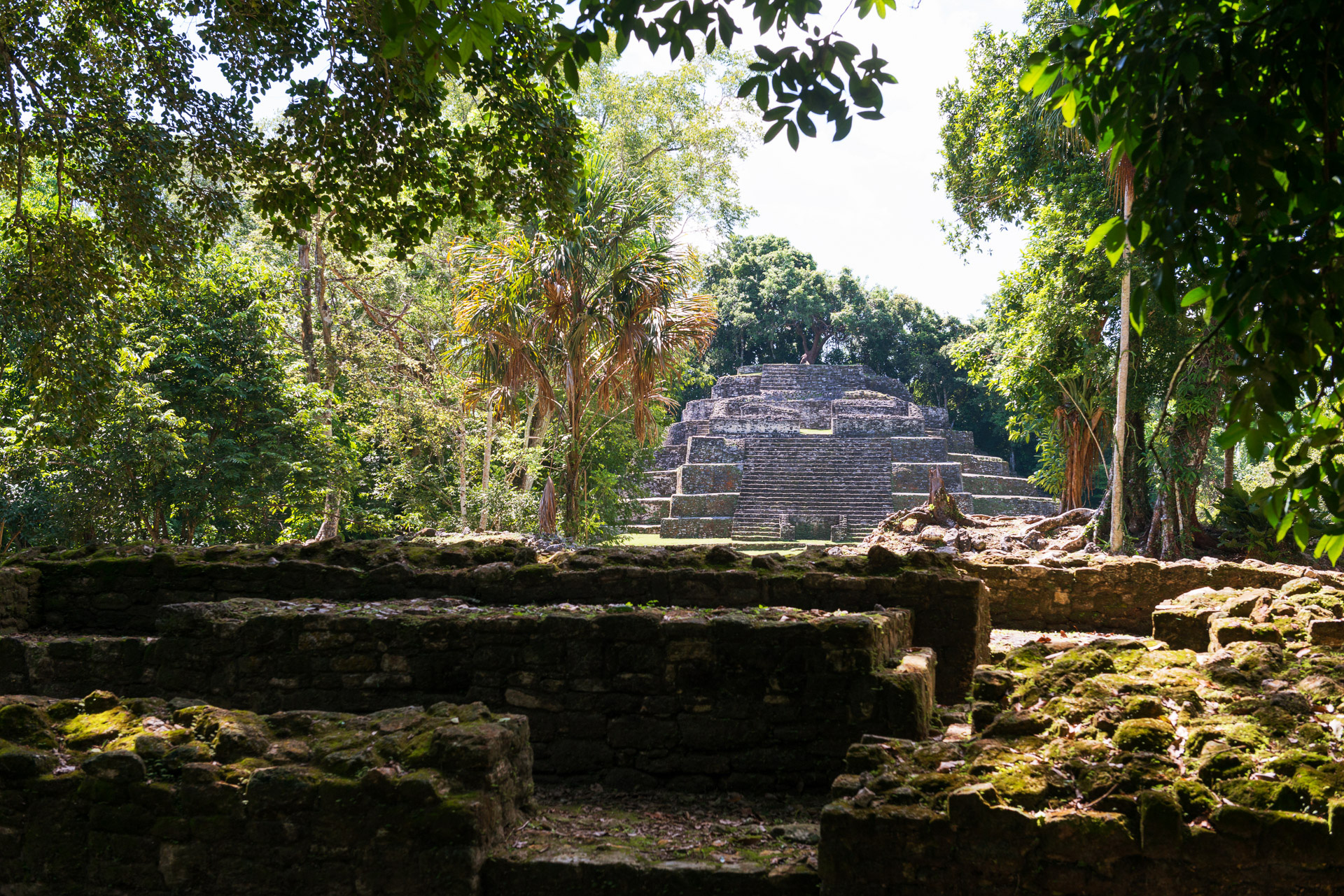 Maya Tempel
