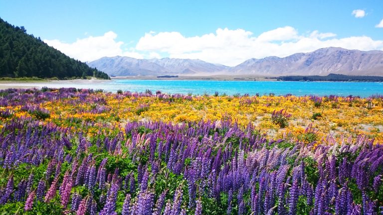 Neuseeland Südinsel aktive Erlebnisgruppenreise traveljunkies