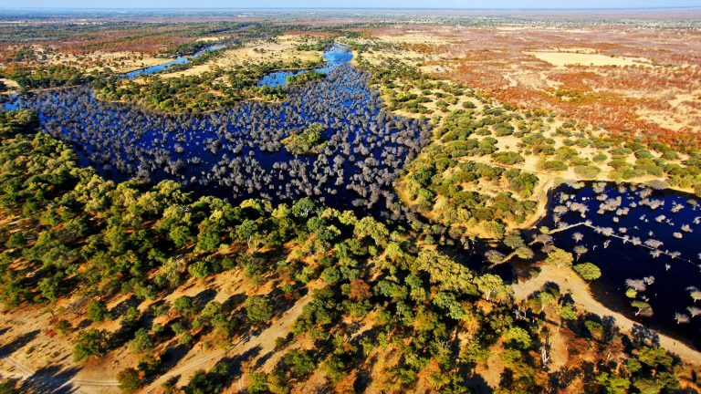 Okavango Delta Botswana Safari, Überflug, Erlebnisreise traveljunkies