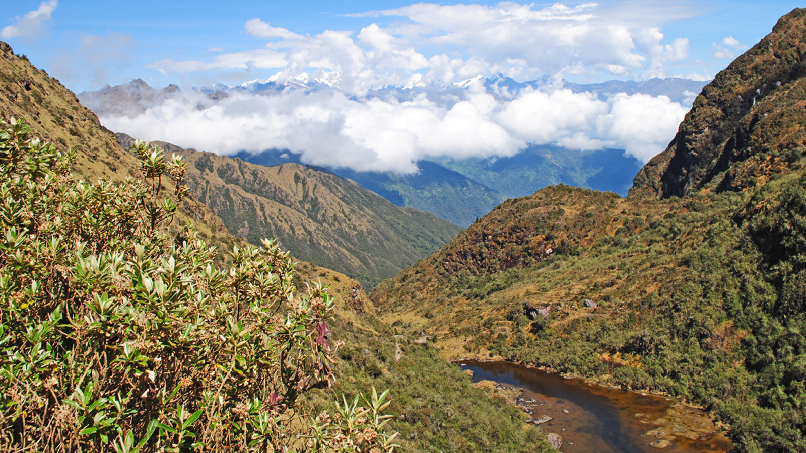 Quer Durch Sudamerika Mit Dem Overland Truck Traveljunkies Tours