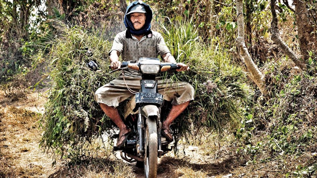 Reisen Indonesien individuell traveljunkies