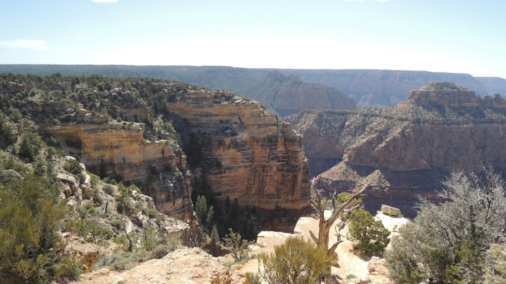 Roadtrip quer durch die USA Gruppenreise für junge Leute Vereinigte Staaten traveljunkies