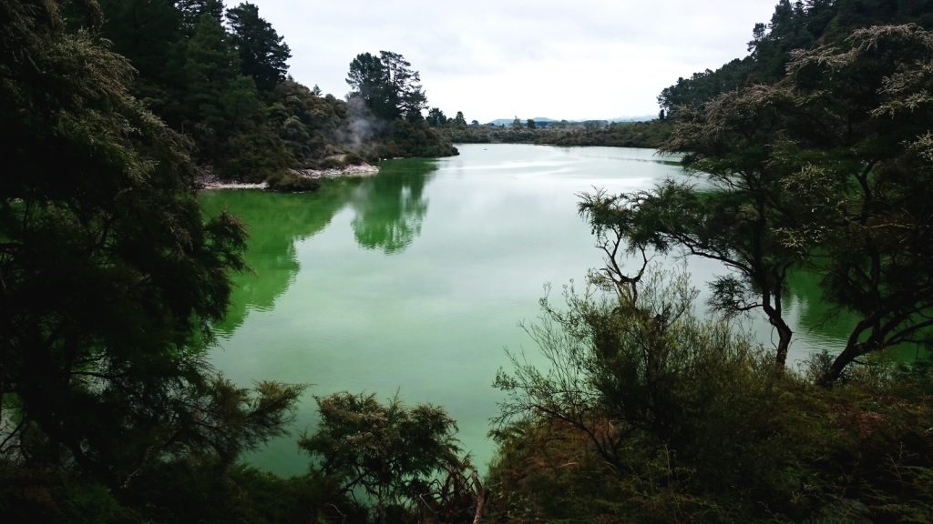 Rotorua aktive Gruppenreise Neuseeland Nordinsel traveljunkies