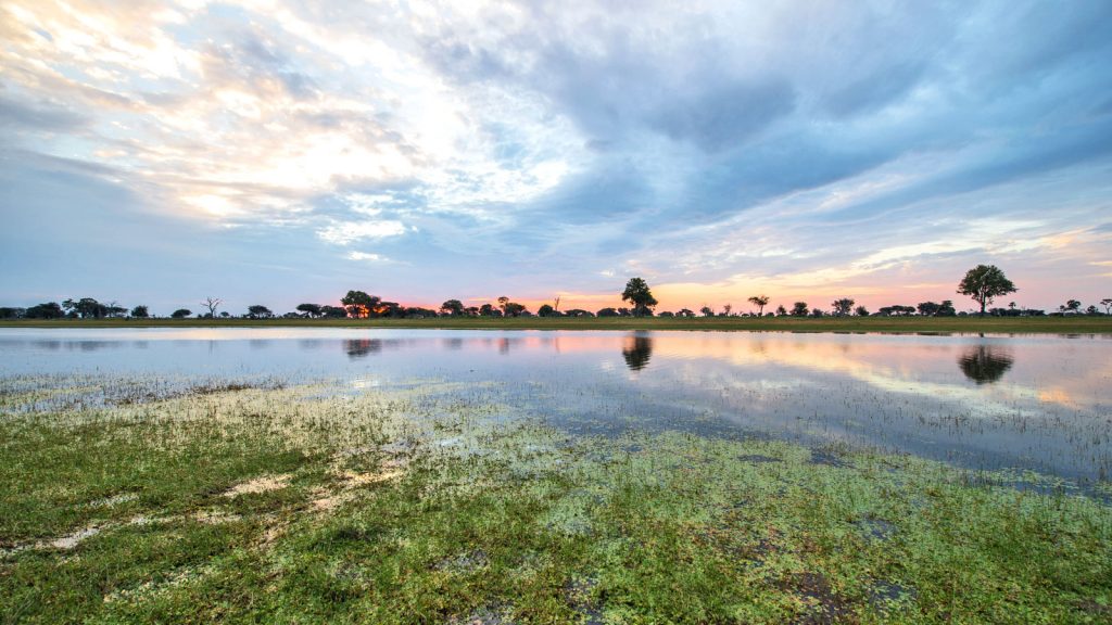 Safari Okavango Delta Botswana Erlebnisreise in Kleingruppe travelejunkies