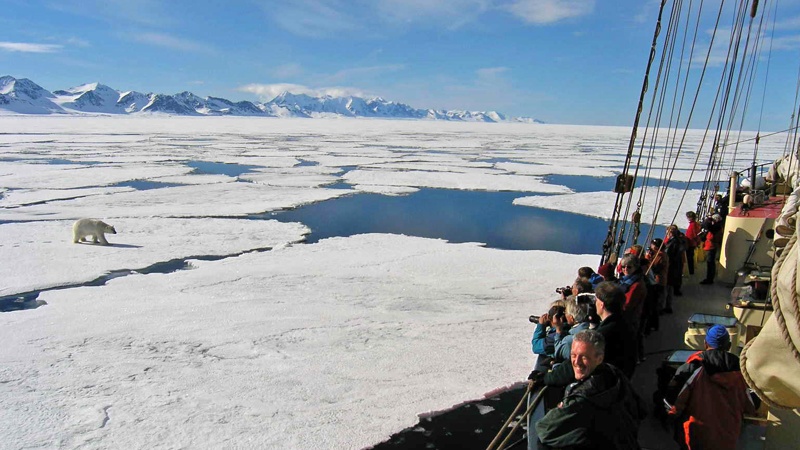Segel-Expediiton Spitzbergen in der Arktis mit Eisbären am Nodpol traveljunkies