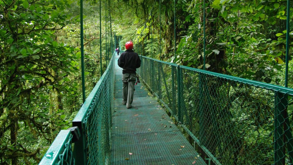 Skywalk Monteverde Costa Rica Mittelamerika Reise für junge Leute preiswert reisen durch Costa Rica El Salvador Guatemala Honduras Nicaragua traveljunkies