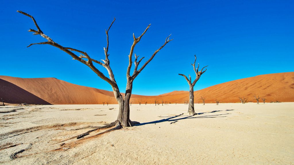 Sossusvlei Namib Wüste Namibia Abenteuerreise in Kleingruppe traveljunkies