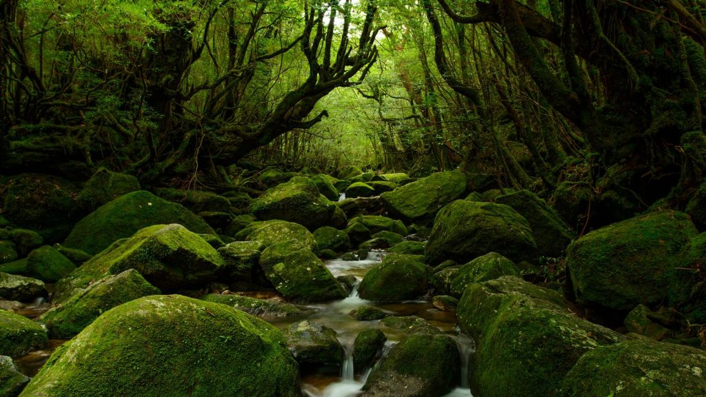 Südjapan Gruppenreise mit der Insel Kyushu traveljunkies