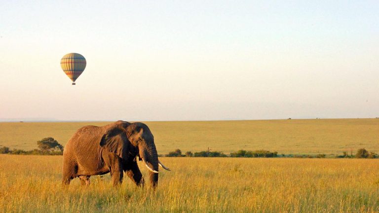 Tansania Lake Manyara Nationalpark Elefant Heißluftballon traveljunkies Kenia Safari Game Drive Gruppenreise Erlebnisreise Afrika Nairobi Abenteuerreise Great Migration Ngorongoro Krater Serengeti