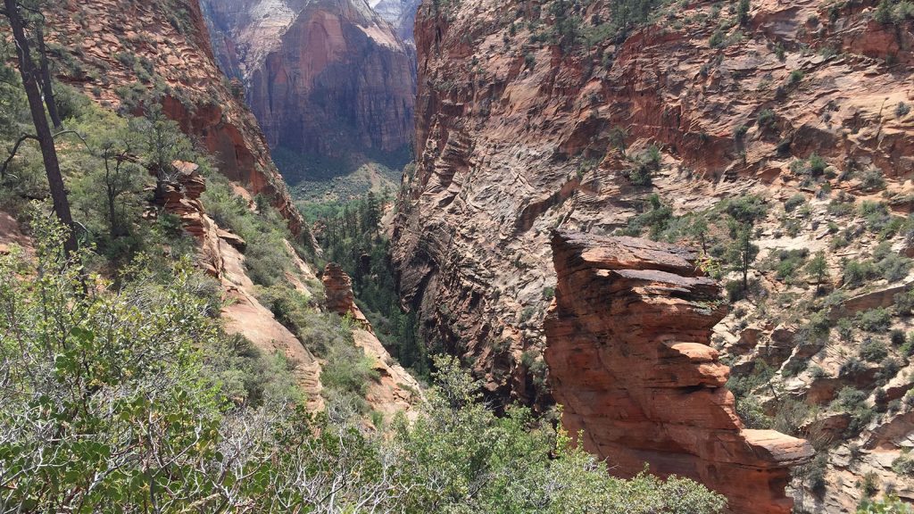 Bild Zion Nationalpark USA