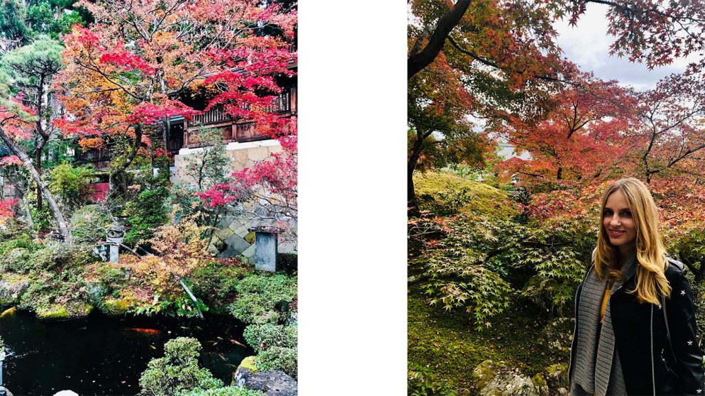 Urlaub für junge Leute in Japan Erfahrungsbericht traveljunkies