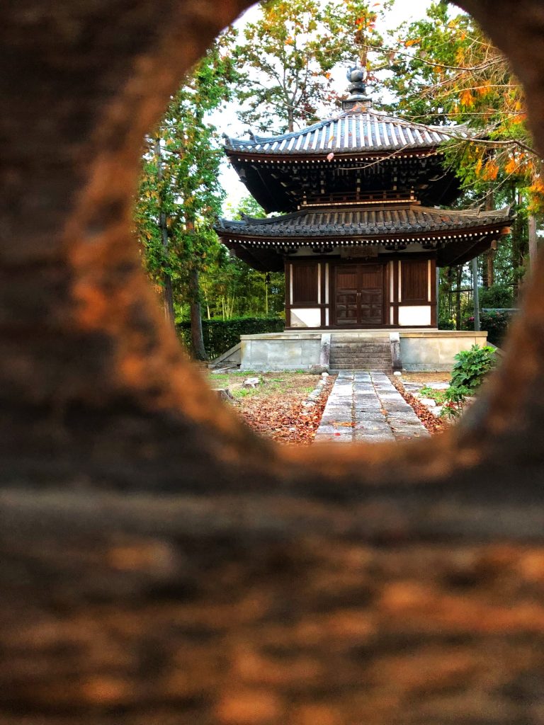 Urlaub für junge Leute in Japan Erfahrungsbericht traveljunkies