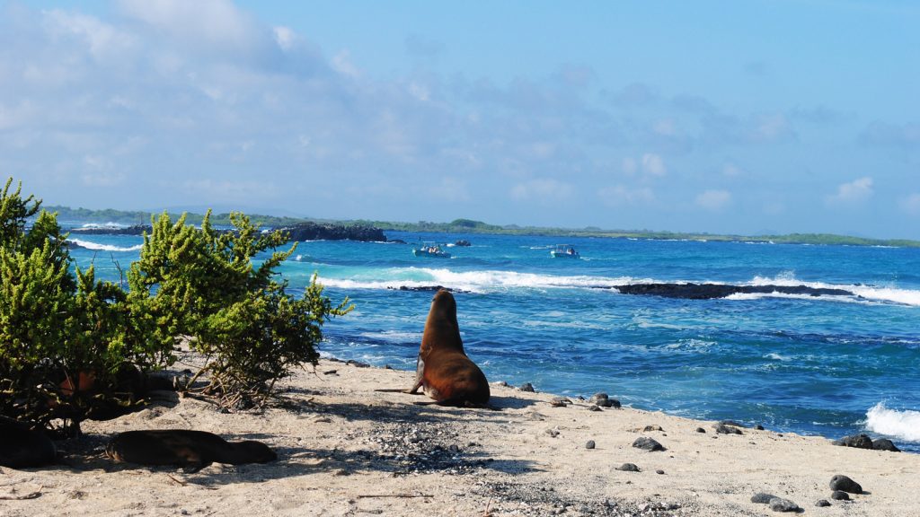 Von Quito nach Lima Express Gruppenreise für junge Leute traveljunkies