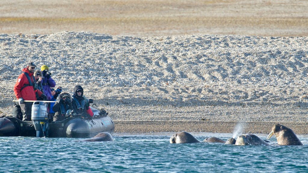 Spitzbergen in der Arktis Landschaft am Nordpol traveljunkies