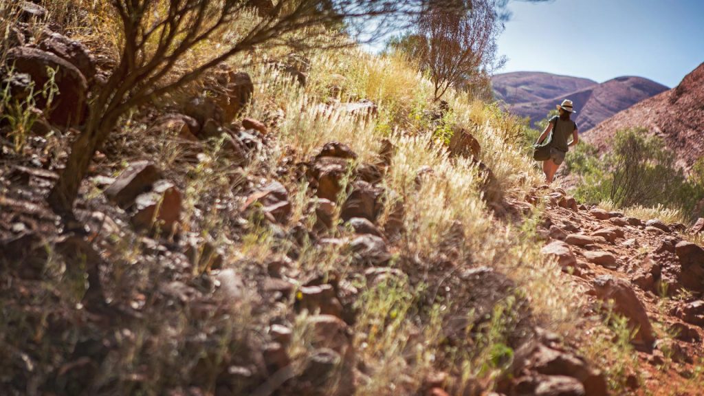 Wanderung an den Olgas im Northern Territory in Australien. traveljunkies Reisen für junge Leute