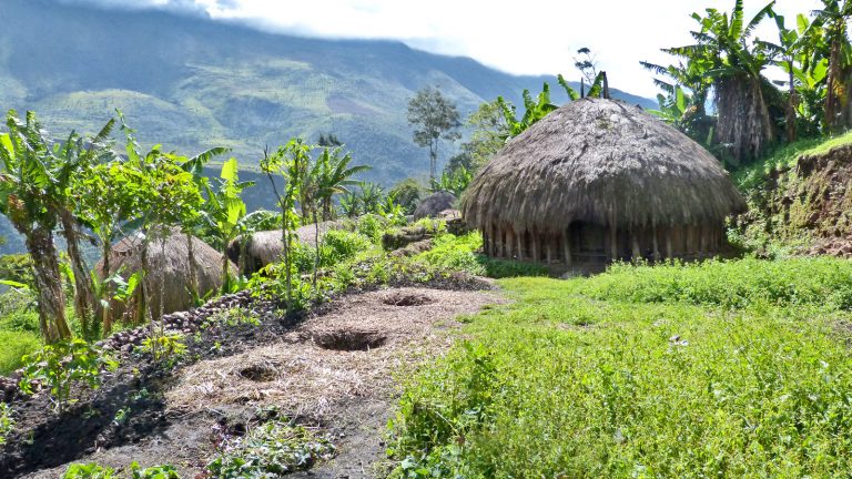 West Papua Dani Dogum Trekking im Baliem Valley Indonesien Expeditionsreise traveljunkies