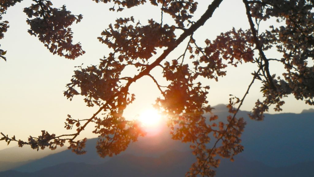 Winter Festival Japan Gruppenreise traveljunkies Winter