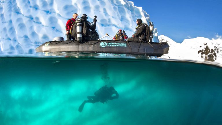Spitzbergen Unterwasserwelt in der Arktis am Nordpol traveljunkies