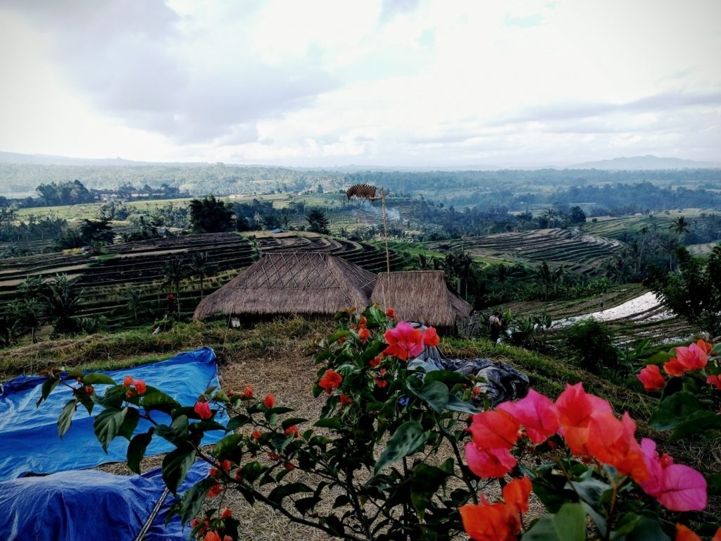 Jatiluwih Reis Terrassen