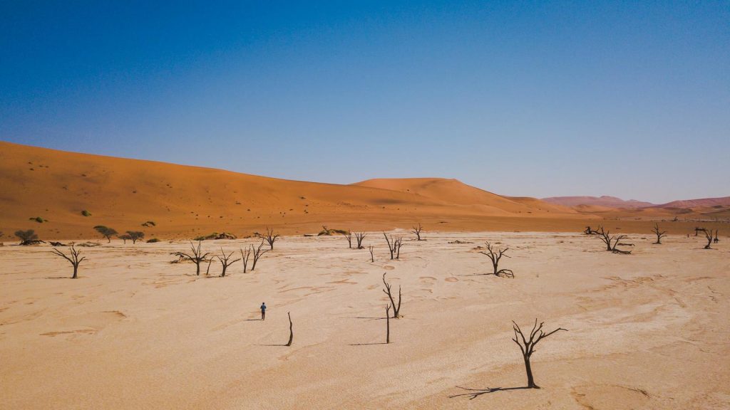traveljunkies Entdeckungsreise Namibia Victoriafälle Namib-Wüsten Landschaft Dünen National Geographic Gruppenreise Afrika Etosha Nationalpark