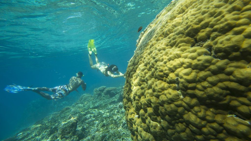 traveljunkies Indonesien Abenteuerreise Segeltörn Bali Lombok Gili Inseln Katamaran Schnorcheln Segeln