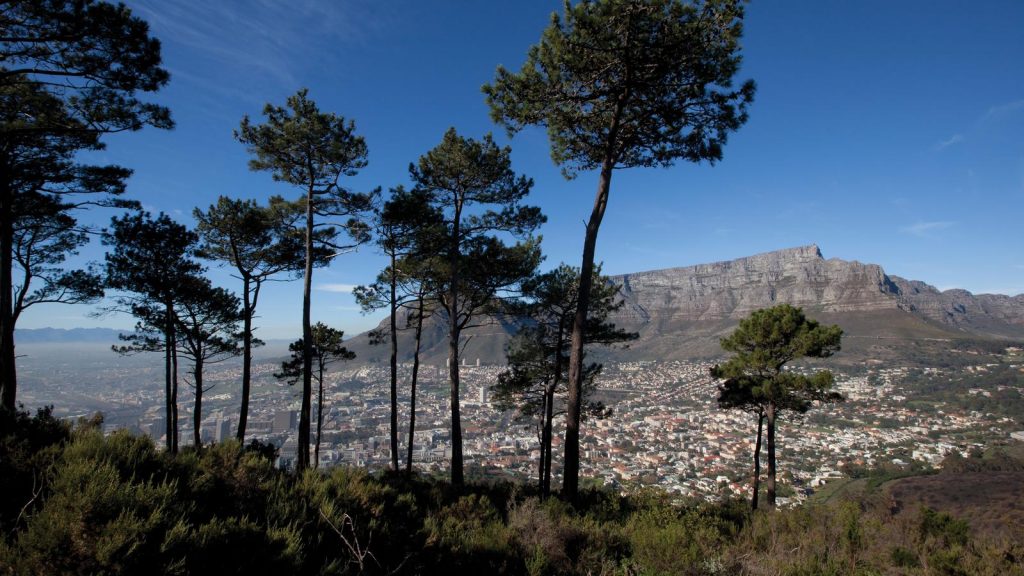 traveljunkies Südafrika Simbabwe Victoriafälle Afrika Kapstadt Krüger Nationalpark Karongwe National Geographic Johannesburg Gruppenreise Abenteuerreise Safari Erlebnisreise